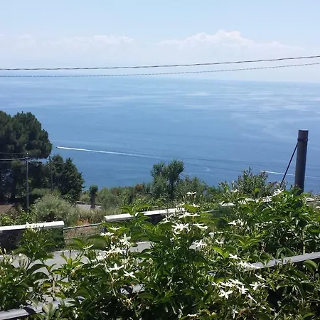 Salina Acroeoliano In *