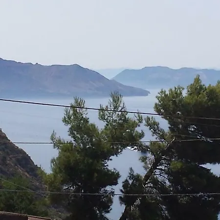 Salina Acroeoliano In * Leni