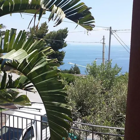 Salina Acroeoliano In Leni