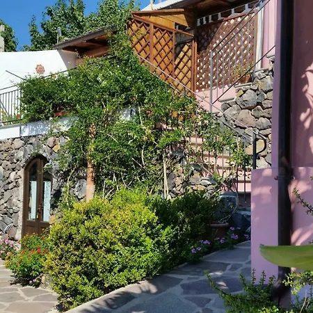 Salina Acroeoliano In * Leni